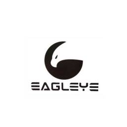 Eagleye